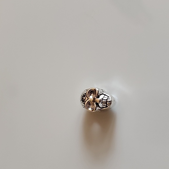 Skull  2 sided Charm for European  Bracelets  fits Pandora - Picture 4 of 6